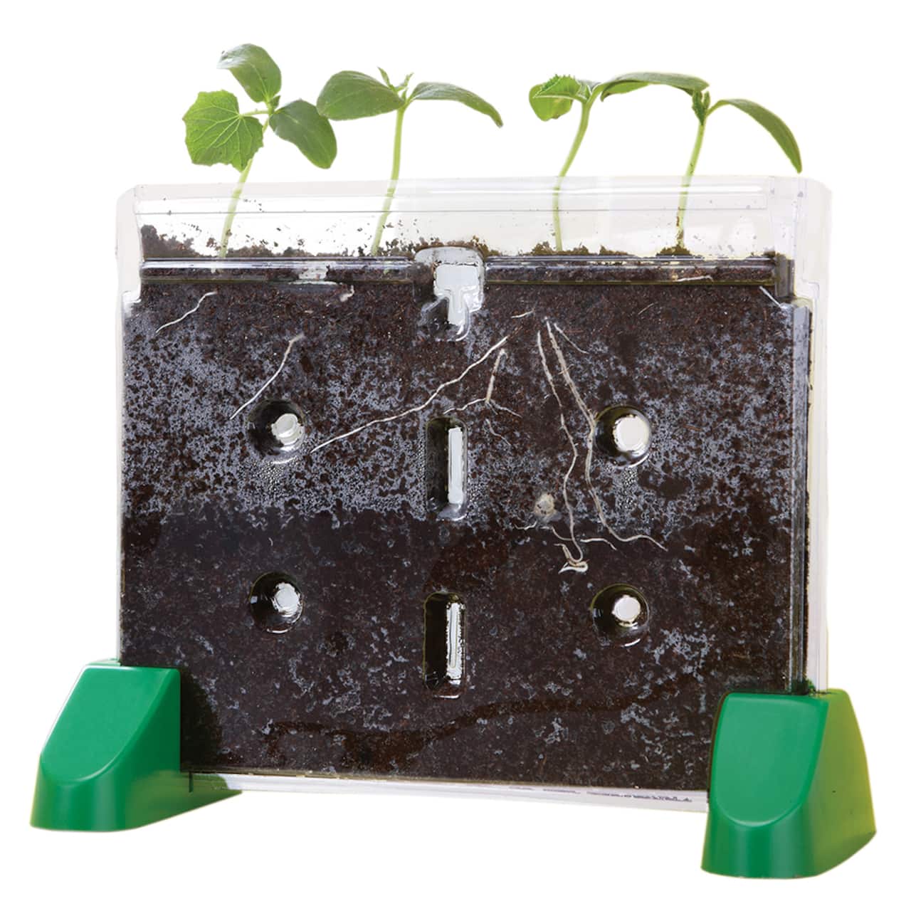 Educational Insights Sprout &#x26; Grow Window